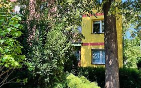 Apartament 23